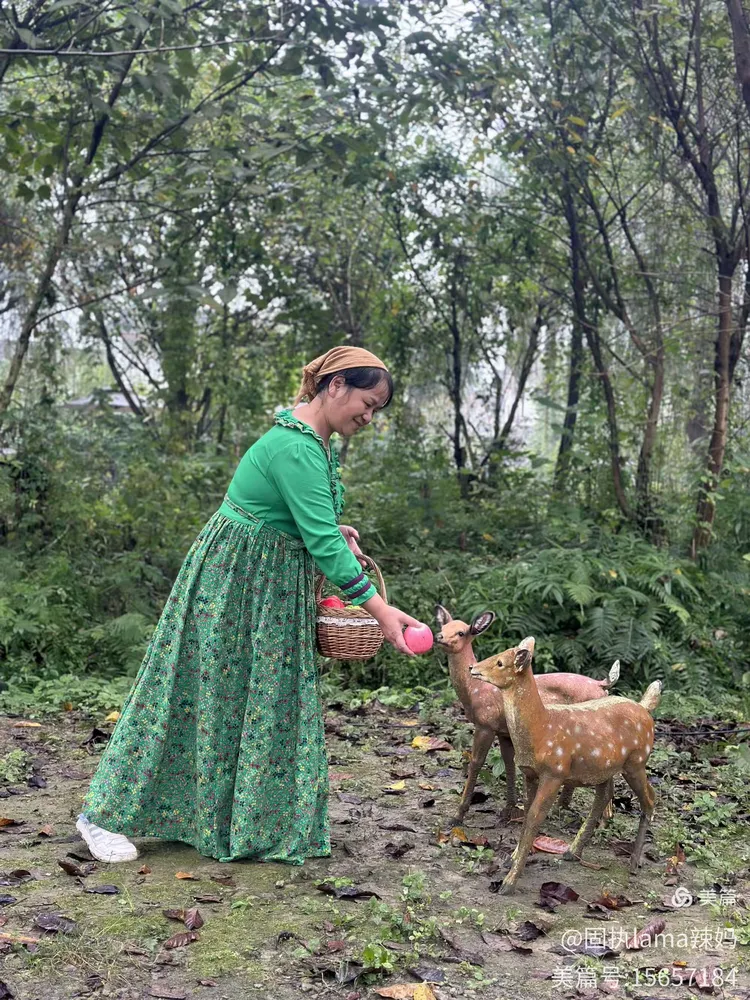 2023年11月2日崇州森林部落玩拍照